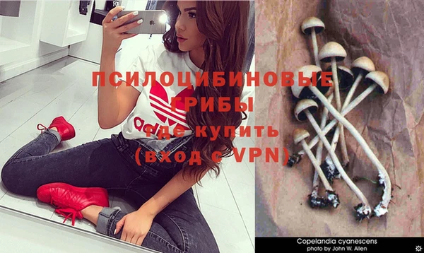 твердый Алексеевка