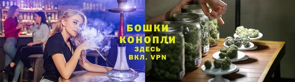 ГАЛЛЮЦИНОГЕННЫЕ ГРИБЫ Алексин