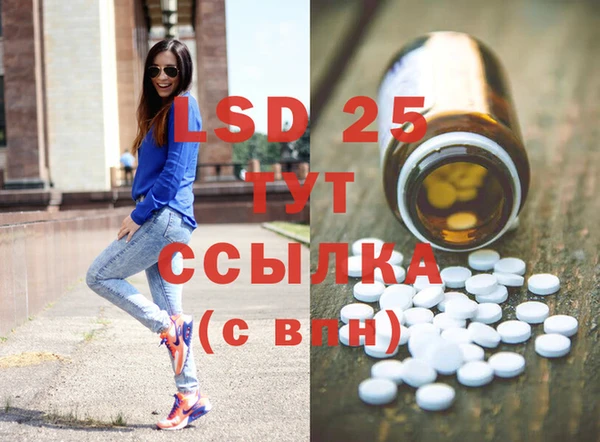 ГАЛЛЮЦИНОГЕННЫЕ ГРИБЫ Алексин