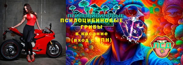 твердый Алексеевка