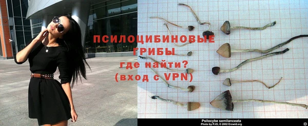 гашишное масло Алзамай