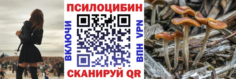 сайты даркнета официальный сайт Тольятти Галлюциногенные грибы Magic Shrooms
